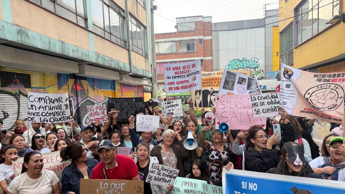 Tras denuncias en Bogotá, buscan eliminar la venta de animales en la avenida Caracas por presuntas prácticas de explotación y maltrato.