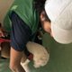 Rescatan a dos perros por presunto abuso sexual en el suroriente de Bogotá
