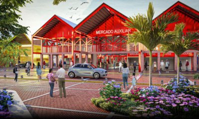 así Palmira transforma sus galerías en un faro de desarrollo inclusivo y bienestar para sus habitantes