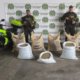 En una vieja caseta sobre la vía entre Buga y Buenaventura estaban ocultos cuatro sacos y tres lonas de café de exportación que habían sido robados.