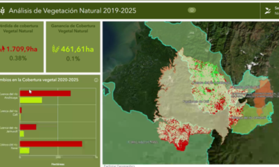 inteligencia artificial detecta impacto de cultivos ilícitos y minería ilegal en 1.700 hectáreas