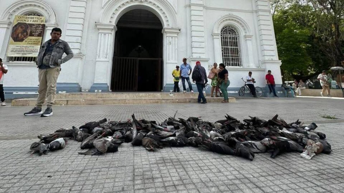 alcalde exige investigación y protección del entorno