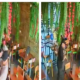 Se conoce el video en el que hombres armados atacaron de manera violenta a un comerciante en un exclusivo restaurante de Cali: fue acribillado