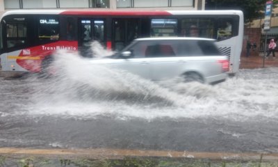 Fuertes lluvias en Bogotá provocan inundaciones, daños en el alcantarillado y caída de un árbol: autoridades atienden emergencia