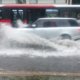 Fuertes lluvias en Bogotá provocan inundaciones, daños en el alcantarillado y caída de un árbol: autoridades atienden emergencia
