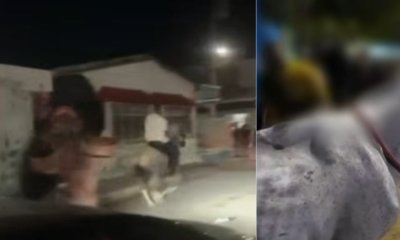 Autoridades se pronuncian tras videos de caballos maltratados y utilizados para carreras clandestinas en Cartagena: 'Van a ser denunciados'