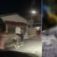Autoridades se pronuncian tras videos de caballos maltratados y utilizados para carreras clandestinas en Cartagena: 'Van a ser denunciados'