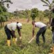 Comunidades campesinas de Tumaco cambian hectáreas de coca por surcos de alimentos y cultivos lícitos