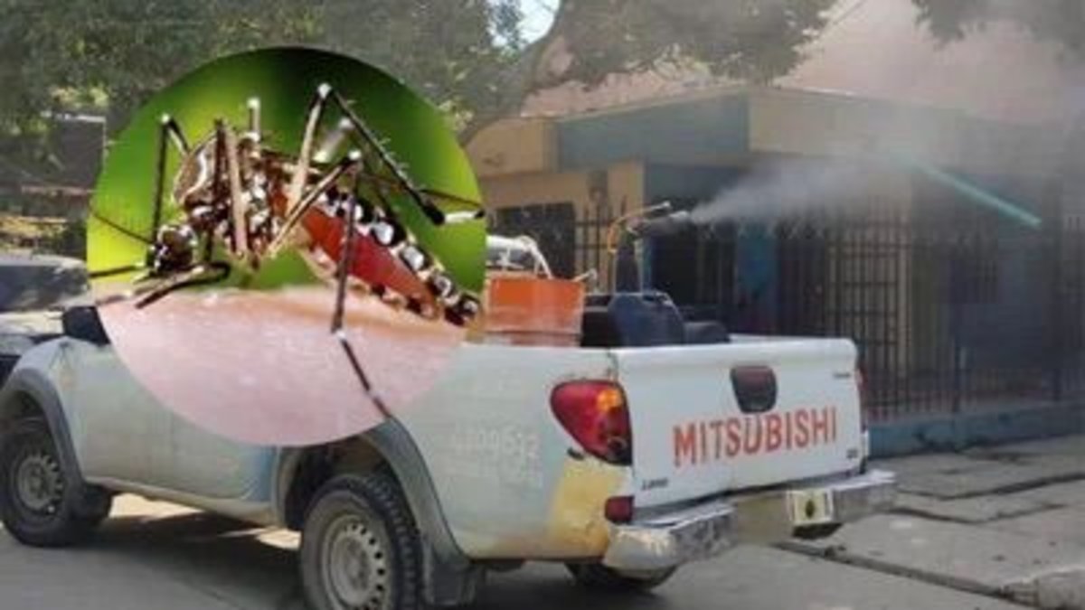 Personería enciende las alarmas y exige vacunas al Gobierno Nacional ante emergencia de dengue en Santa Marta