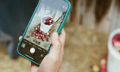 Así puedes borrar objetos de una foto en iPhone sin usar Apple Intelligence y en solo segundos