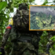 Así va el Catatumbo, un año de confrontación armada entre ELN y disidencias de las Farc deja desplazamientos y homicidios