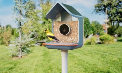 CES 2026: Birdbuddy presenta nuevos comederos inteligentes para pájaros