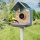 CES 2026: Birdbuddy presenta nuevos comederos inteligentes para pájaros