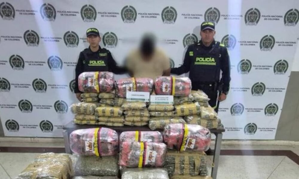 Capturan a un hombre con 242 kilos de marihuana en la Autopista Norte de Medellín
