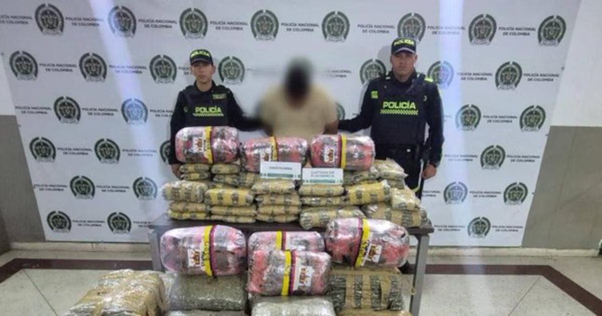 Capturan a un hombre con 242 kilos de marihuana en la Autopista Norte de Medellín