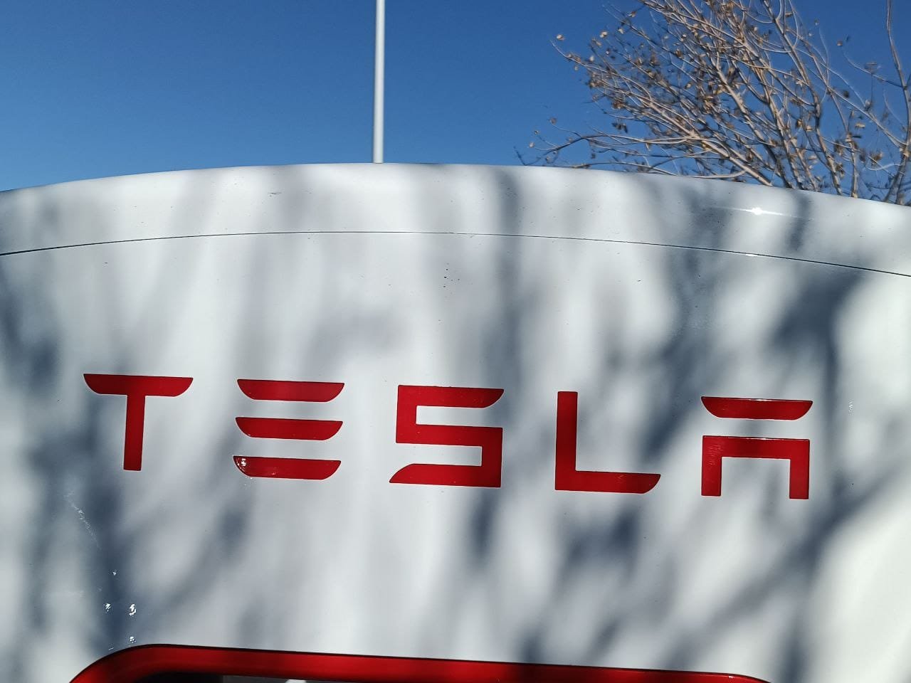 Colombia | Llegan más de 150 modelos de Tesla que fueron importados desde China