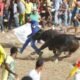 Corralejas en Bolívar y Sucre dejaron al menos tres muertos y nueve heridos, pese a su prohibición
