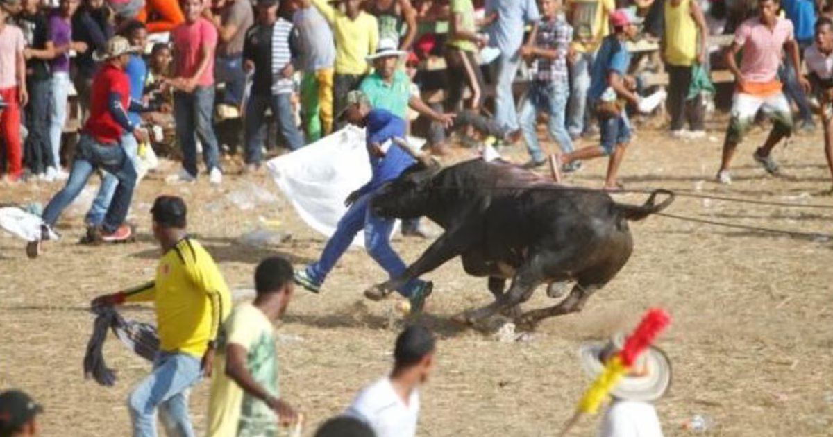 Corralejas en Bolívar y Sucre dejaron al menos tres muertos y nueve heridos, pese a su prohibición