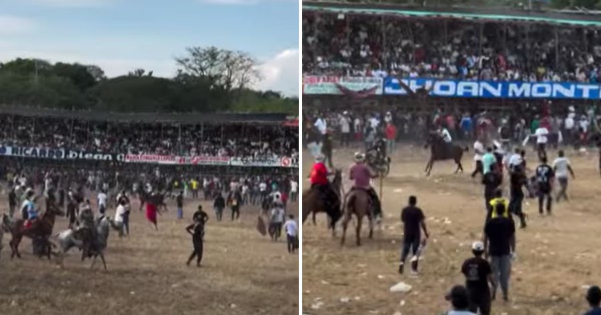Corralejas en Caucasia: desde la Alcaldía confirmaron a pesar de los lesionados, se cumplió con la normativa