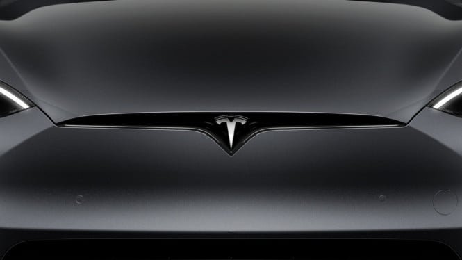 Elon Musk todavía está confundido acerca de Tesla