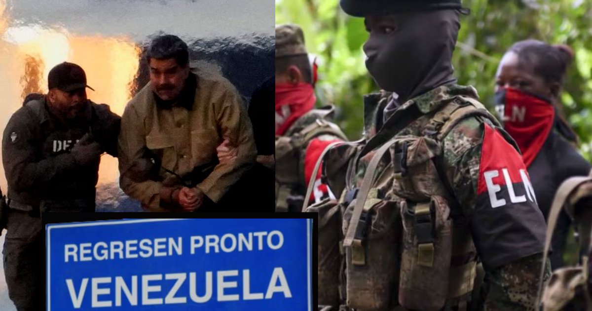 Expertos prevén lo que pasará con los grupos armados en la frontera colombo-venezolana: “Van a tener tiempo”