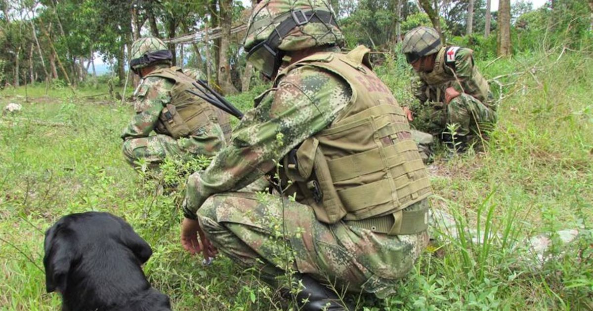 Explosivos y presión a comunidades frenan ingreso del Ejército en Briceño y Yondó, en medio de disputas armadas