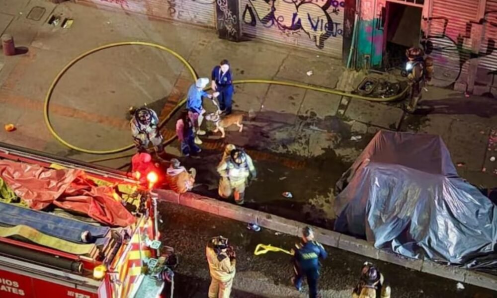 Incendio estructural en edificio de cinco pisos del centro de Bogotá deja personas y animales rescatados