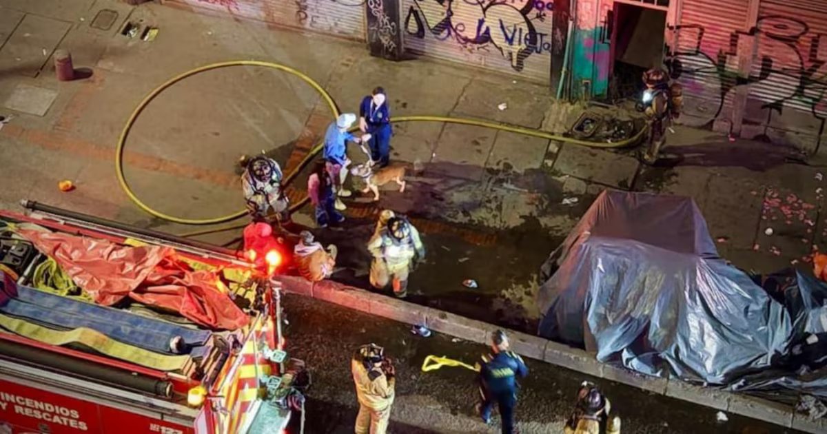 Incendio estructural en edificio de cinco pisos del centro de Bogotá deja personas y animales rescatados