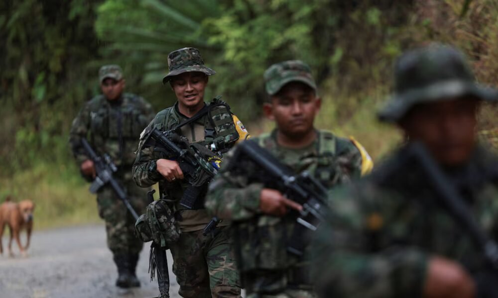Indepaz reveló cifras de crecimiento de grupos criminales en Colombia entre 2024 y 2025