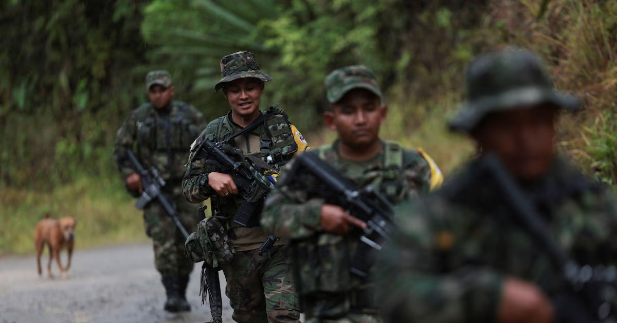 Indepaz reveló cifras de crecimiento de grupos criminales en Colombia entre 2024 y 2025