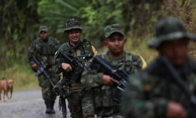 Informe de inteligencia militar advierte que más de 6.000 hombres de grupos ilegales operan en la frontera con Venezuela: hay alerta por repliegue en territorio nacional