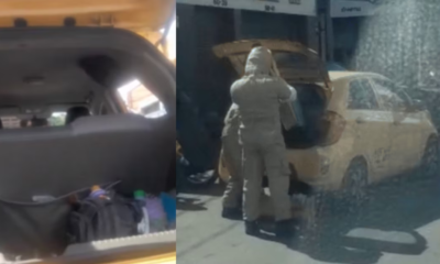 Insólito hallazgo en el interior de un taxi, en Medellín: autoridades encontraron un panal de abejas
