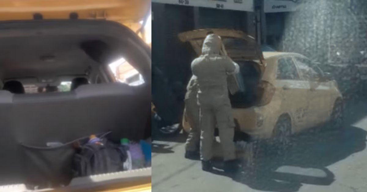 Insólito hallazgo en el interior de un taxi, en Medellín: autoridades encontraron un panal de abejas