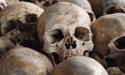 Investigadores, rituales secretos y zonas grises: la compleja trama del tráfico de restos humanos en Colombia