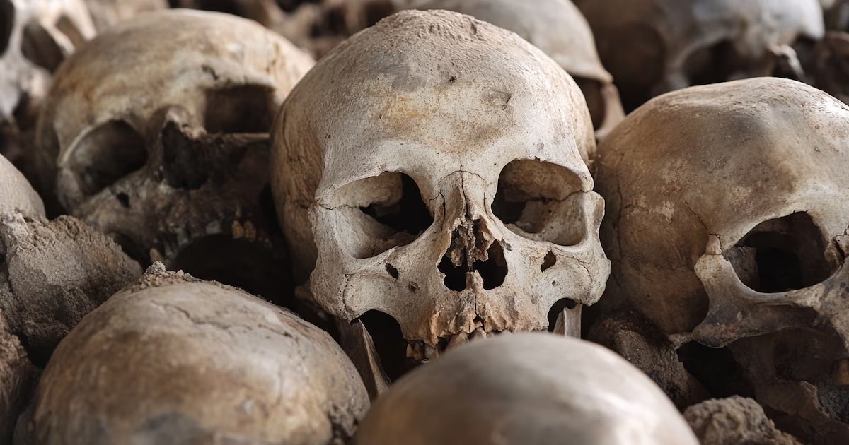 Investigadores, rituales secretos y zonas grises: la compleja trama del tráfico de restos humanos en Colombia