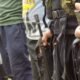Menor que fue secuestrada en el Catatumbo denunció que las disidencias la obligaron a grabar mensaje de terror a otros niños