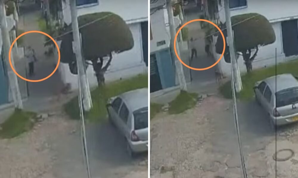Mujer denuncia ataque con correa por parte de su vecino en el norte de Bogotá: “Un poquito más y me golpea directamente en el ojo”