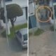 Mujer denuncia ataque con correa por parte de su vecino en el norte de Bogotá: “Un poquito más y me golpea directamente en el ojo”