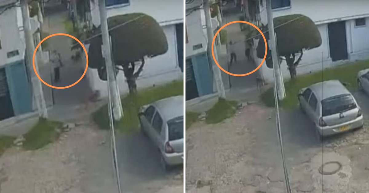 Mujer denuncia ataque con correa por parte de su vecino en el norte de Bogotá: “Un poquito más y me golpea directamente en el ojo”