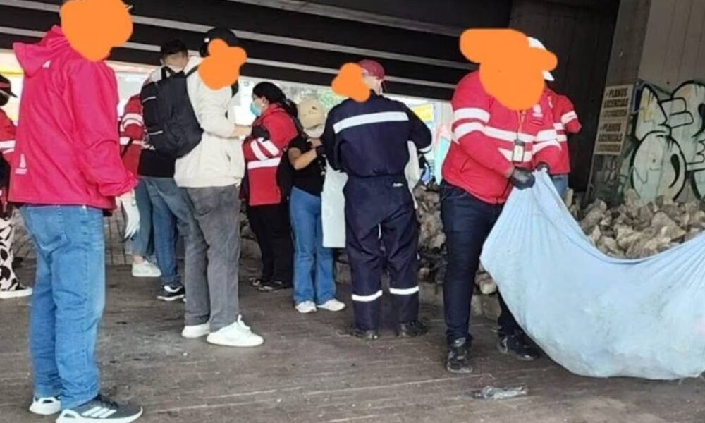 No eran huesos de perros: estos fueron los hallazgos de las autoridades en Puente Aranda