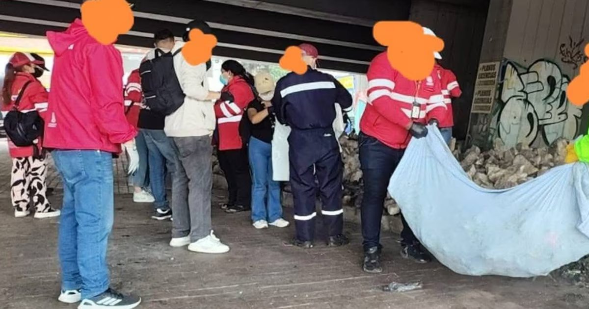 No eran huesos de perros: estos fueron los hallazgos de las autoridades en Puente Aranda