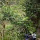 OCHA alerta por más de “800 personas desplazadas” y confinamiento en El Tarra tras enfrentamientos armados