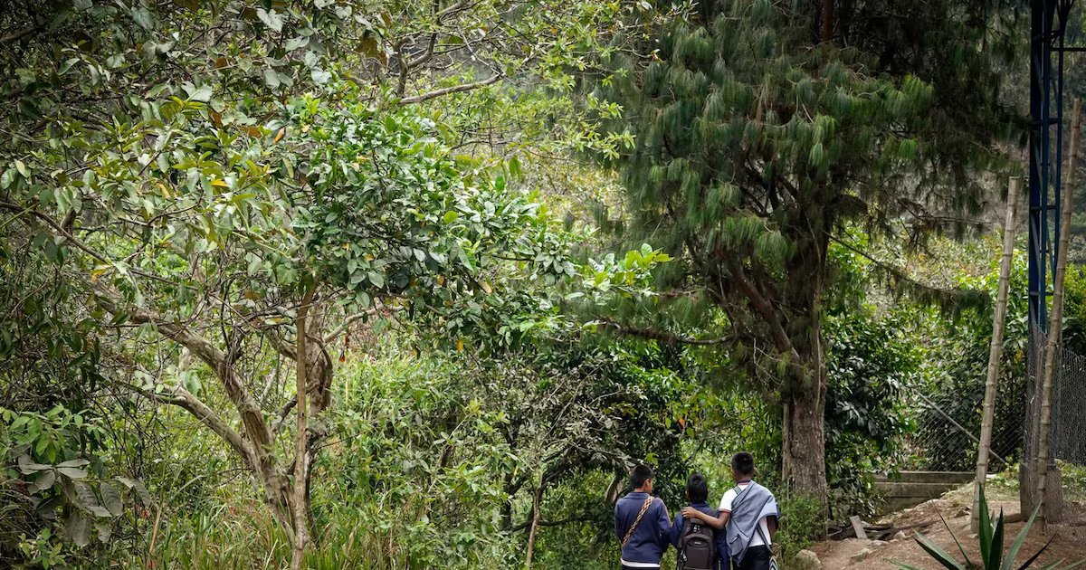 OCHA alerta por más de “800 personas desplazadas” y confinamiento en El Tarra tras enfrentamientos armados