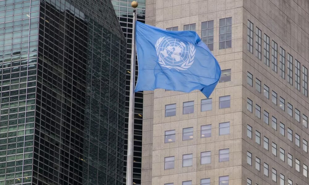 Secretaria Adjunta de la OEA detalló el proceso de ingreso de Colombia al Consejo de Seguridad de la ONU: “No debería aspirar”
