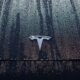Tesla enfrenta dudas de valoración tras advertencias de Michael Burry y caída de ventas