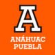 Toda Mi Vida Usé IPhone… Hasta Que Probé Este Tanque Elegante • Oukitel WP210 [2801de] - Universidad Anáhuac