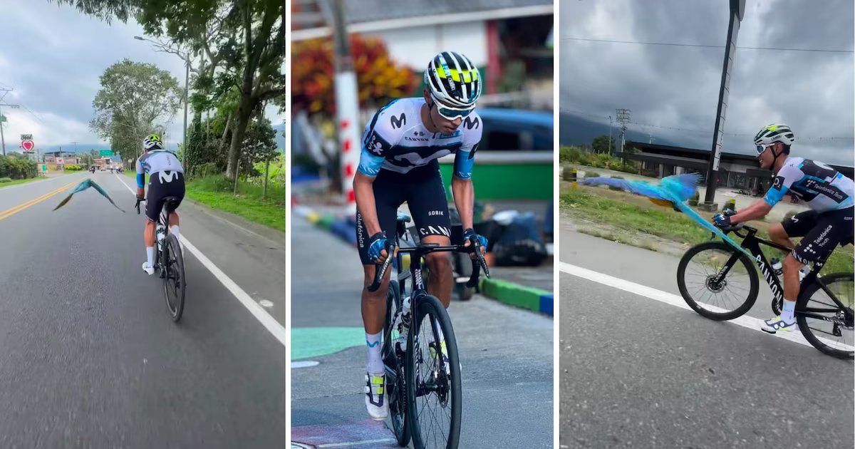 Video viral de ciclista colombiano entrenando junto a una guacamaya sirvió para recordar al fallecido Michele Scarponi: “Reencarnado”