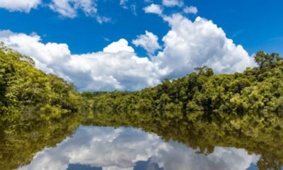 ICARRD+20/ Ante la falta normativa de clara frente a los bonos verdes, el Estado colombiano habría dejado de recaudar aproximadamente $ 2.6 billones