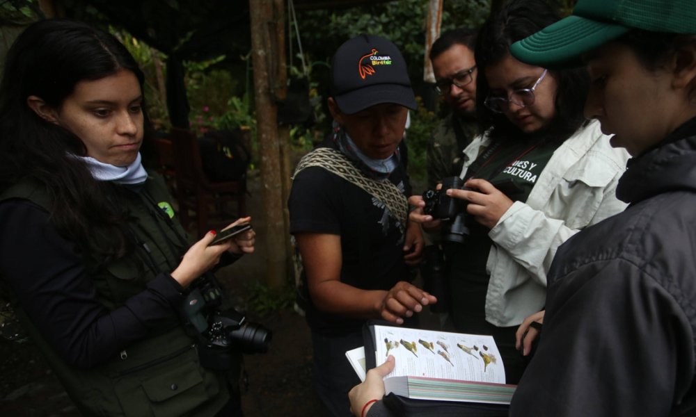 ¿Le apasiona el aviturismo? Programa su visita a Cali para el Colombia Birdfair, una iniciativa de conservación con foco en la infancia y la juventud