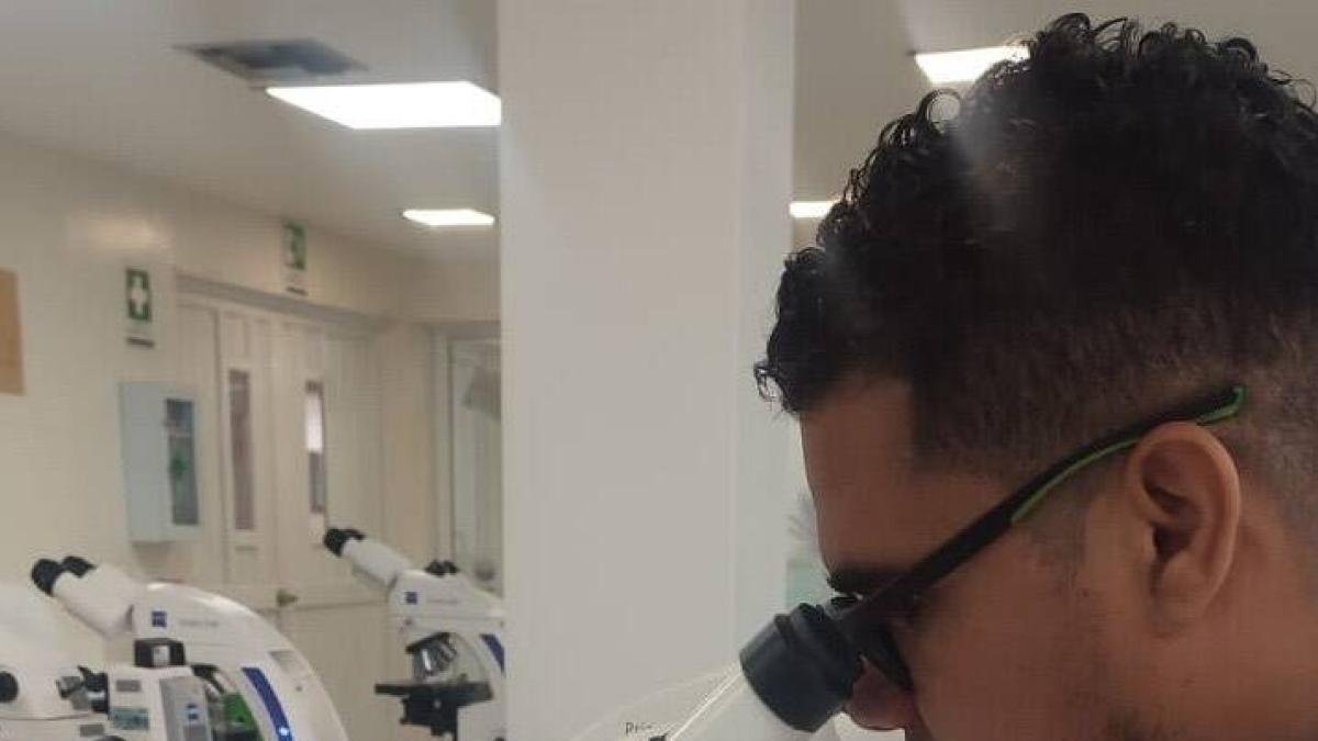 Se abre convocatoria millonaria para proyectos comunitarios en salud en Bogotá